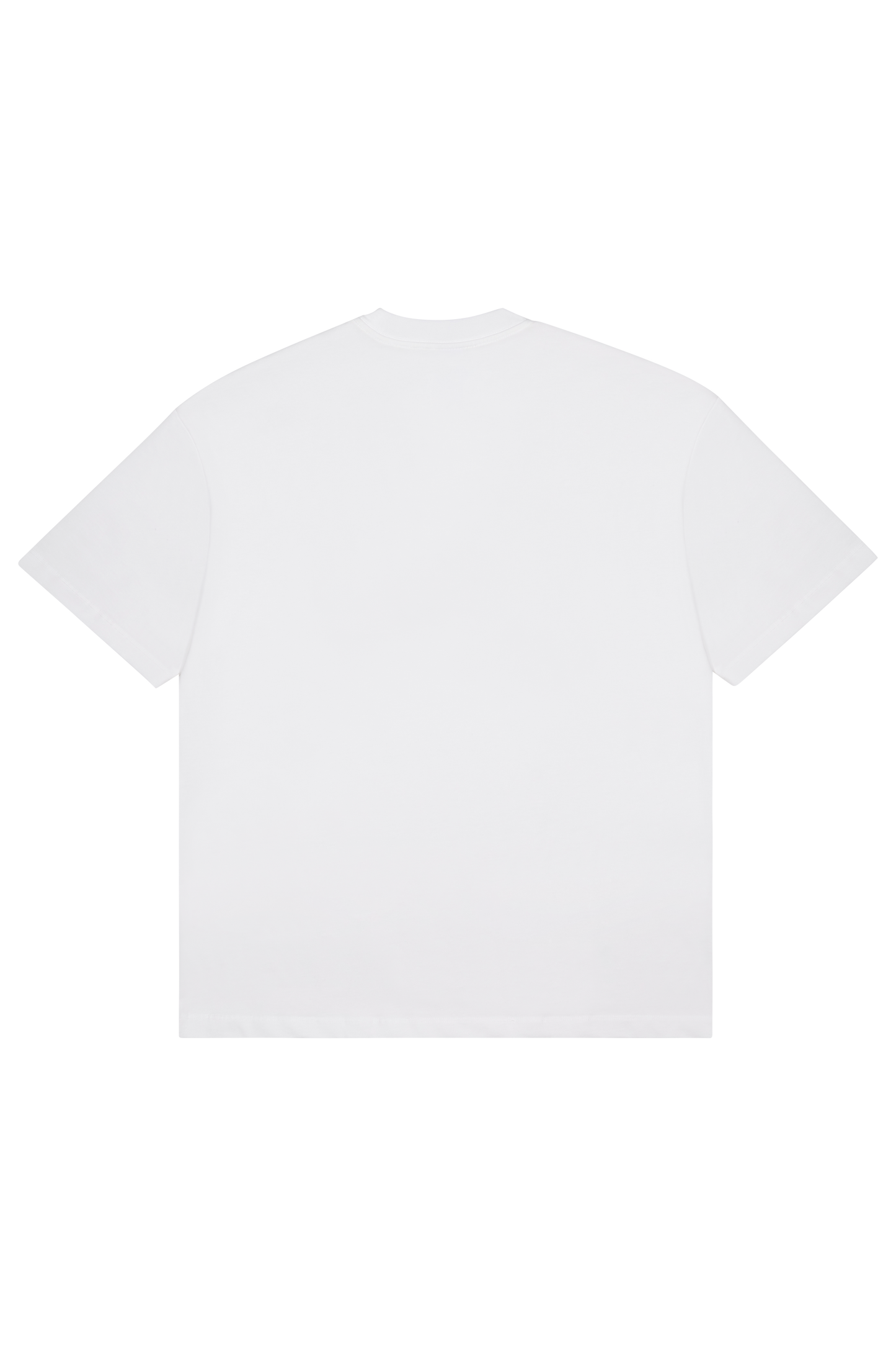SiN RAW TSHIRT